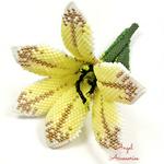AngelAccessories