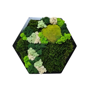 GreenLifeMossArt