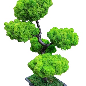 Bonsai cu licheni stabilizati, 41 cm, Casă & Stil de viață, Accesorii pentru decorat casa, Decorațiuni de pereți, decorațiuni suspendate, Decorațiuni cu licheni, Altele, ARTYNOS