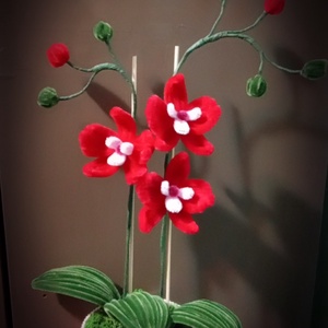 MeryPetals