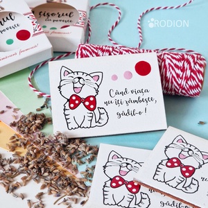 Mărțișoare cu magnet pisicuță pictate manual cu mesaje haioase handmade - Artynos.ro