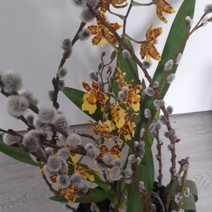 Aranjament floral, Casă & Stil de viață, Accesorii pentru decorat casa, Suport de flori, Accesorii florale, Aranjament de flori, ARTYNOS